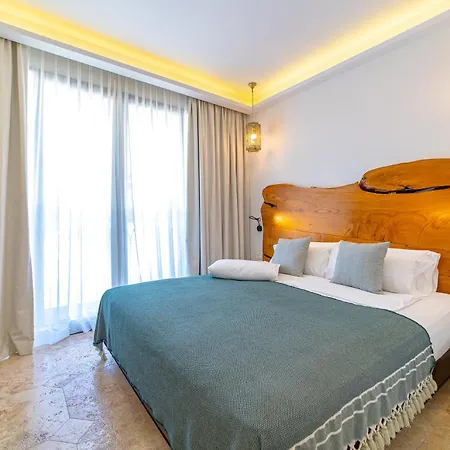 Sierra Blanca Art Of Healing Hotel Marbella