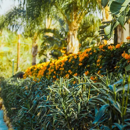 Sierra Blanca Art Of Healing Hotel Marbella