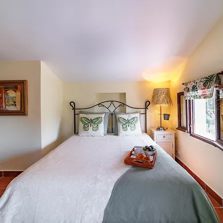 Sierra Blanca Art Of Healing 5*