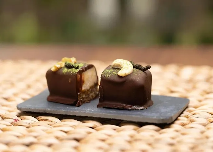 Sierra Blanca Art Of Healing Marbella