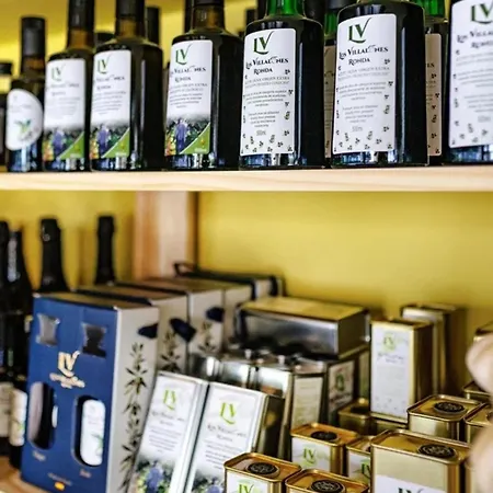 Sierra Blanca Art Of Healing 酒店 马尔韦利亚